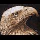 The Tawny Eagle II