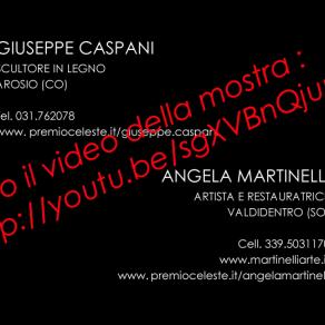 video mostra