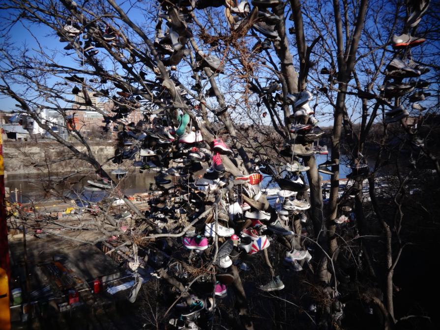 Shoe tree