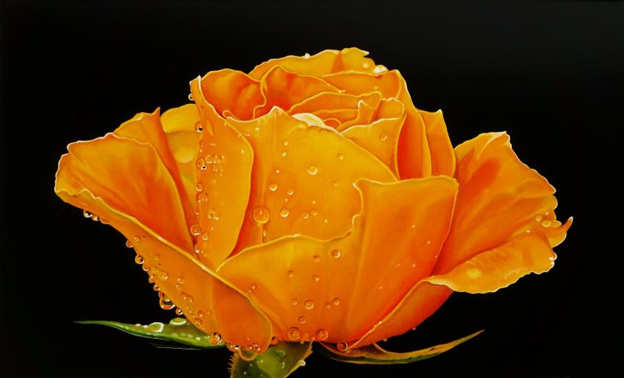 "YELLOW ROSE III"