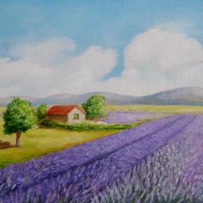 campo di lavanda II