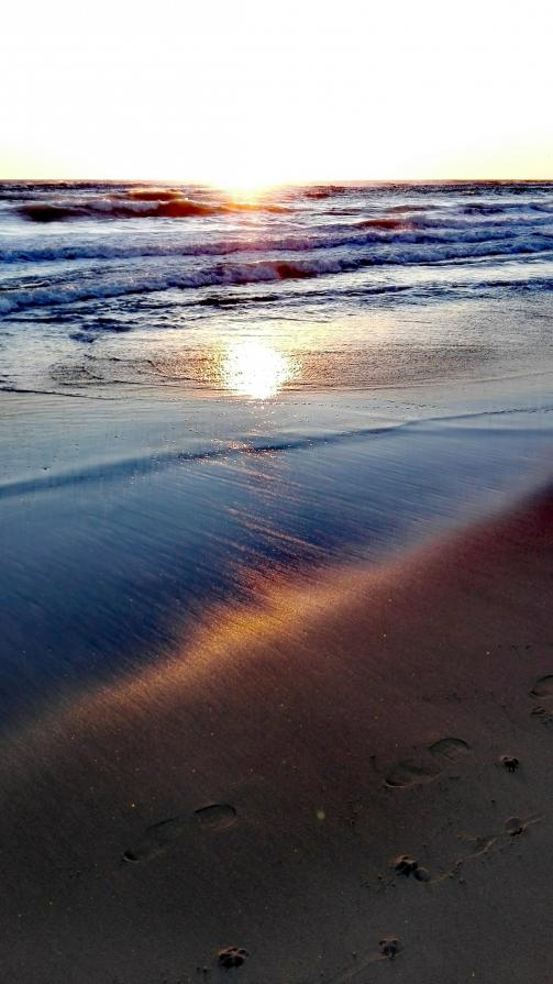 Il mare lo sa come si fa a dimenticare