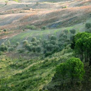 Italy. Calabria. Gerace history of stones (1)