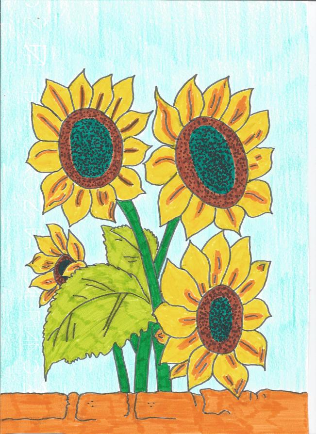 The sunflowers 