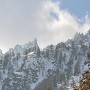 Italy. Val d'Aosta. White and his reflexes