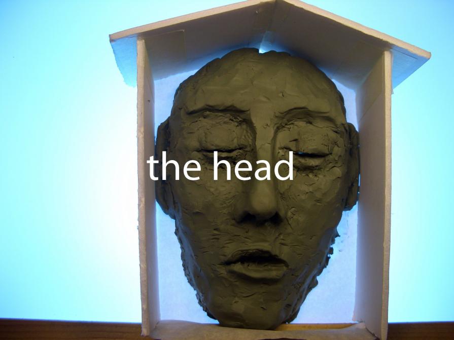 the head