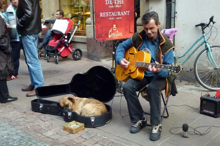 Le musi..chien !