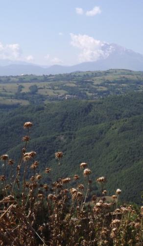 Sui Monti della Laga