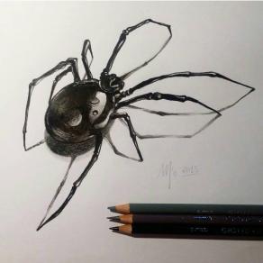 Spider Tattoo