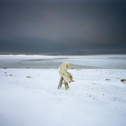 Scarlett Hooft Graafland Hooft Graafland