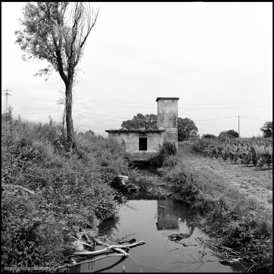 l'acqua trova sempre una via d'uscita