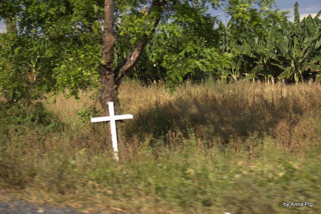 Roads of Minas Gerais - L'ultimo viaggio.. 2