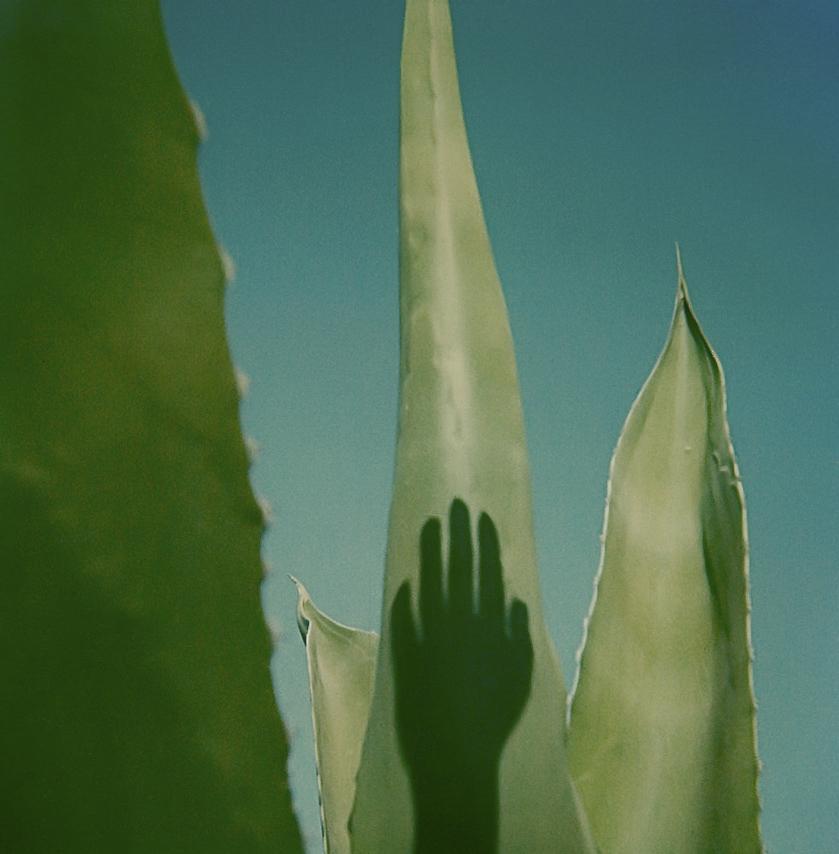 Polaroid sx 70 -- di Augusto De Luca. (0106)