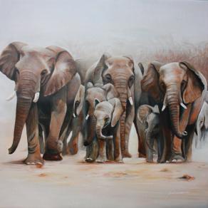 Elephants