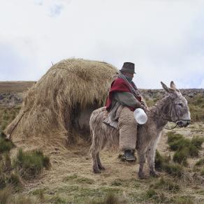 Ozogoche, Ecuador