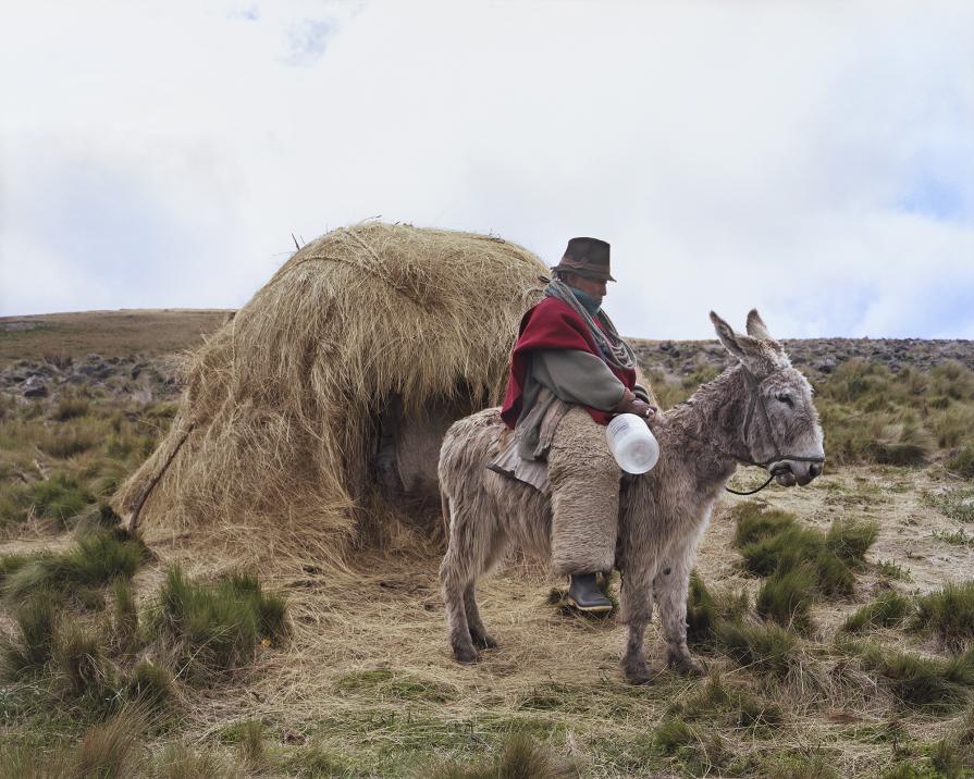 Ozogoche, Ecuador