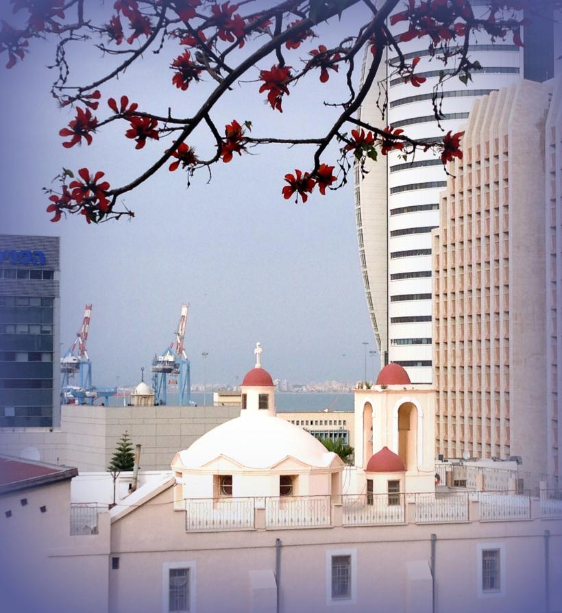 Haifa/ Israel  (one view):   Old... New.... Spring