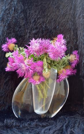 Thistles in a vase 2