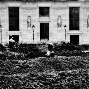 à pied dans les tuileries