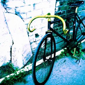 Black Bicycle/West Bank