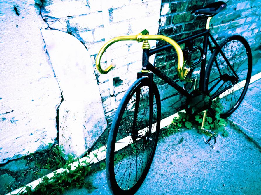 Black Bicycle/West Bank