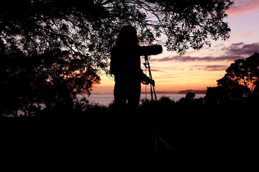 Call and Response, dawn chorus field recordings, Auckland