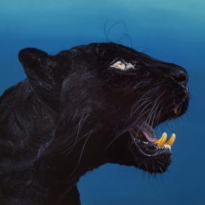 "PANTHERA ONCA"