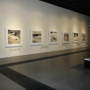 li Chevalier solo exhibition opened at the National Art Museum of China