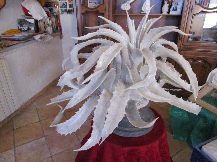 AGAVE DI MARMO BIANCO DI CARRARA