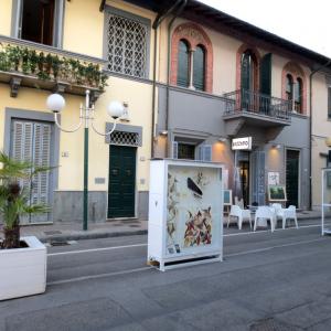 Esposizione in teca