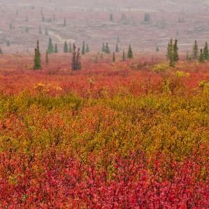 USA. Alaska 2/3. Boundaries and beyond