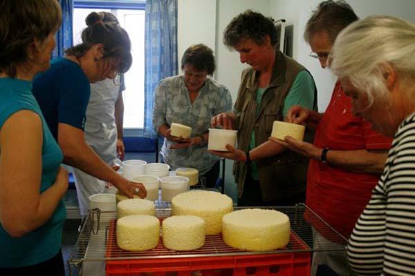 Mobile Dairy School - Cheese production mobile unit