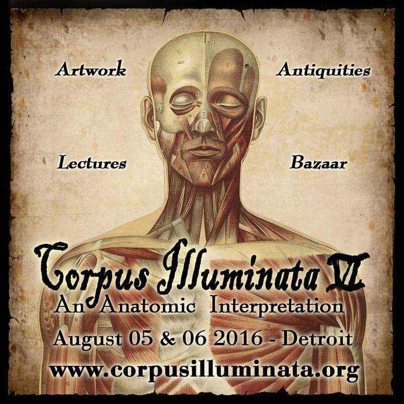 Corpus Illuminata