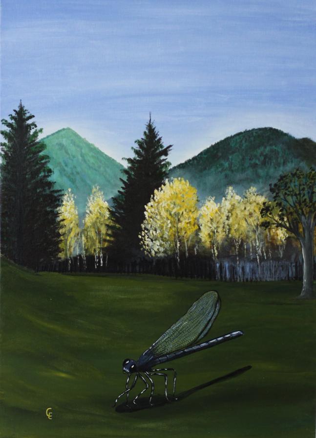 Landscape with Insect