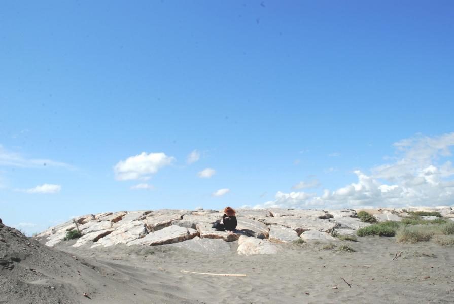 Spring on a solitary beach