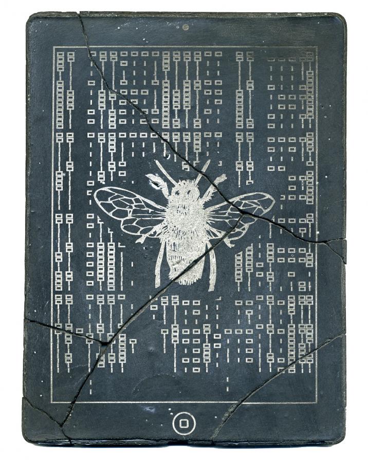 CODEX (bee)