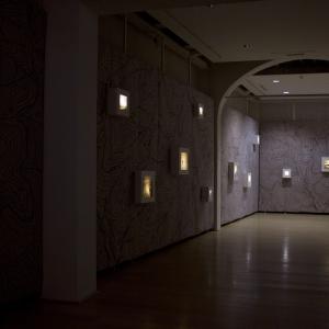 installazione in galleria con naturografie montate su lightbox e mappa 