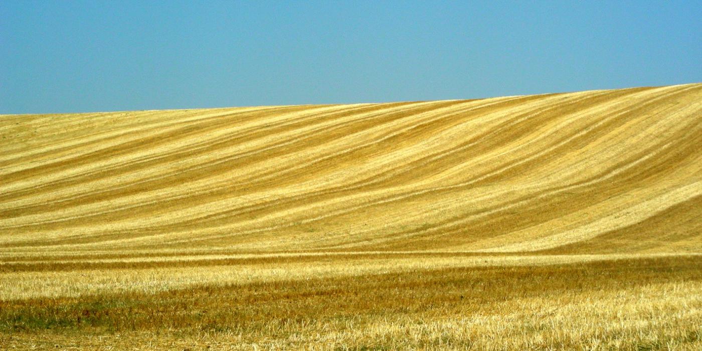 Italy. Basilicata. Potenza (1)