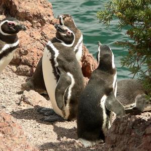 Argentina, Patagonia