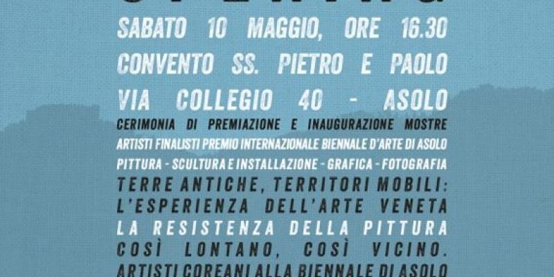 Biennale di Arte di Asolo (Premio Internazionale)