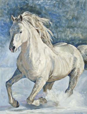 Cavallo bianco