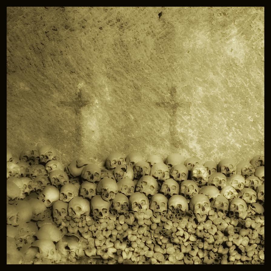 SKULLS 3 - Augusto De Luca photographer