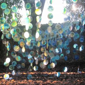 Radiolarians' Jungle