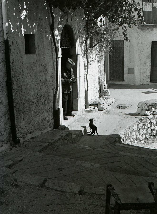 L'uomo col gatto