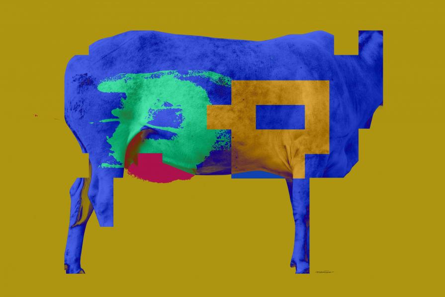  Geometric Cow. Psychedelic art against conceptualism