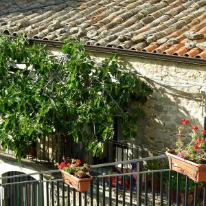 Italy. Sicily, Enna colors of summer