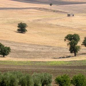 Italy. Basilicata. Potenza (1)