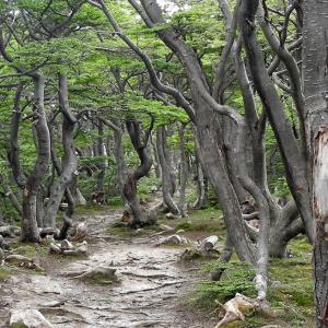 Argentina, Patagonia