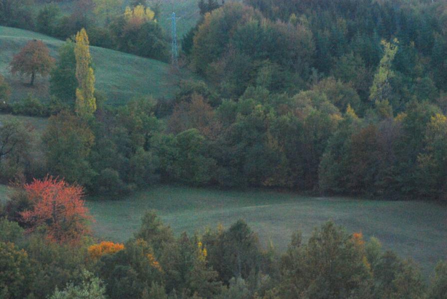 Varietà cromatica naturale