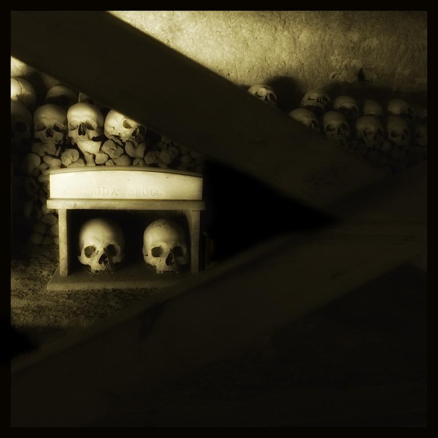 SKULLS 13 - Augusto De Luca photographer